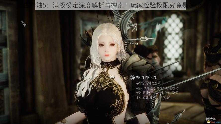 上古卷轴5:满级设定深度解析与探索,玩家经验极限究竟是多少?