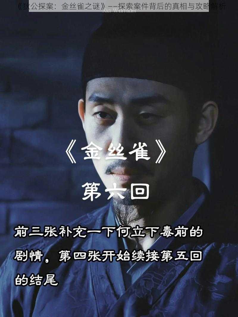 《狄公探案:金丝雀之谜》——探索案件背后的真相与攻略解析