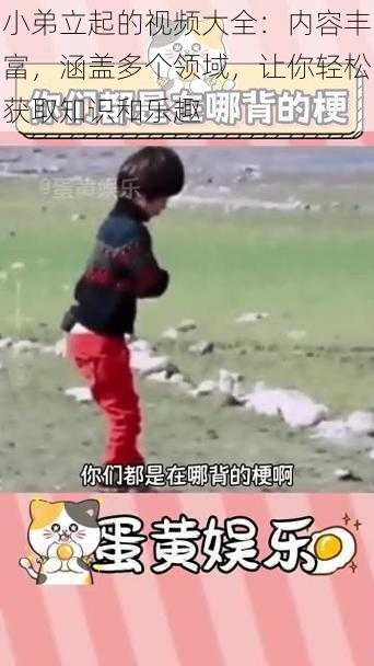 小弟立起的视频大全:内容丰富,涵盖多个领域,让你轻松获取知识和乐趣