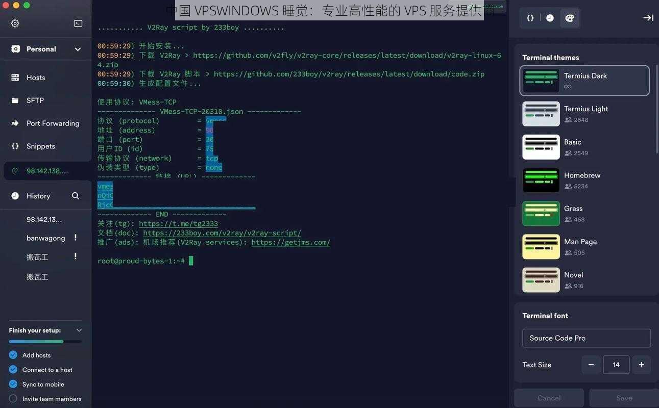 中国 VPSWINDOWS 睡觉:专业高性能的 VPS 服务提供商