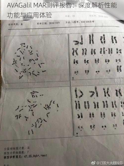AVAGalil MAR测评报告:深度解析性能功能与应用体验