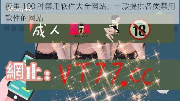 夜里 100 种禁用软件大全网站,一款提供各类禁用软件的网站