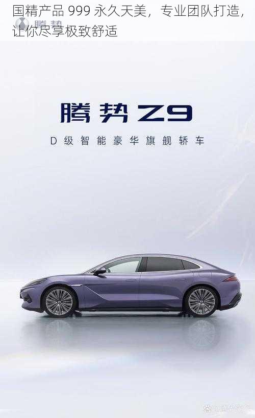 国精产品 999 永久天美,专业团队打造,让你尽享极致舒适