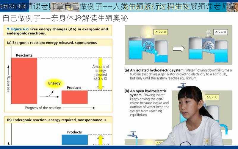 生物繁殖课老师拿自己做例子——人类生殖繁衍过程生物繁殖课老师拿自己做例子——亲身体验解读生殖奥秘