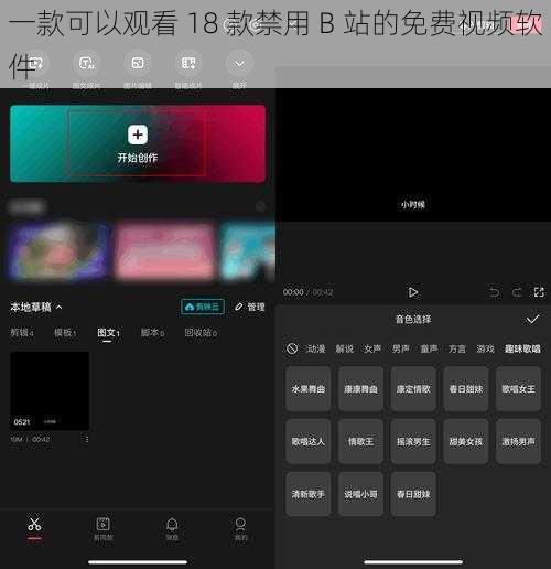 一款可以观看 18 款禁用 B 站的免费视频软件