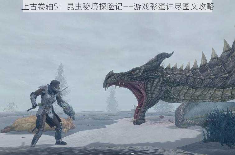 上古卷轴5:昆虫秘境探险记——游戏彩蛋详尽图文攻略
