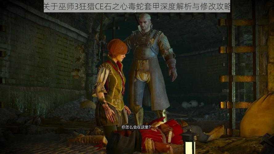 关于巫师3狂猎CE石之心毒蛇套甲深度解析与修改攻略