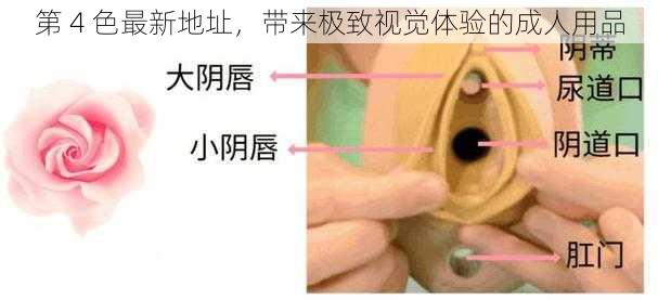 第 4 色最新地址,带来极致视觉体验的成人用品
