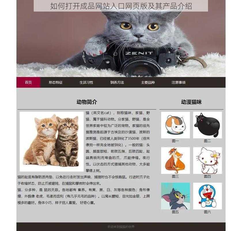 如何打开成品网站入口网页版及其产品介绍