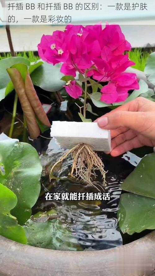 扦插 BB 和扦插 BB 的区别:一款是护肤的,一款是彩妆的