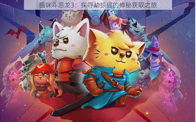 猫咪斗恶龙3:探寻劫掠猫的神秘获取之旅