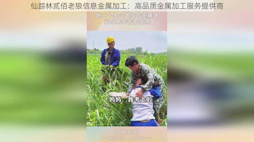 仙踪林贰佰老狼信息金属加工:高品质金属加工服务提供商