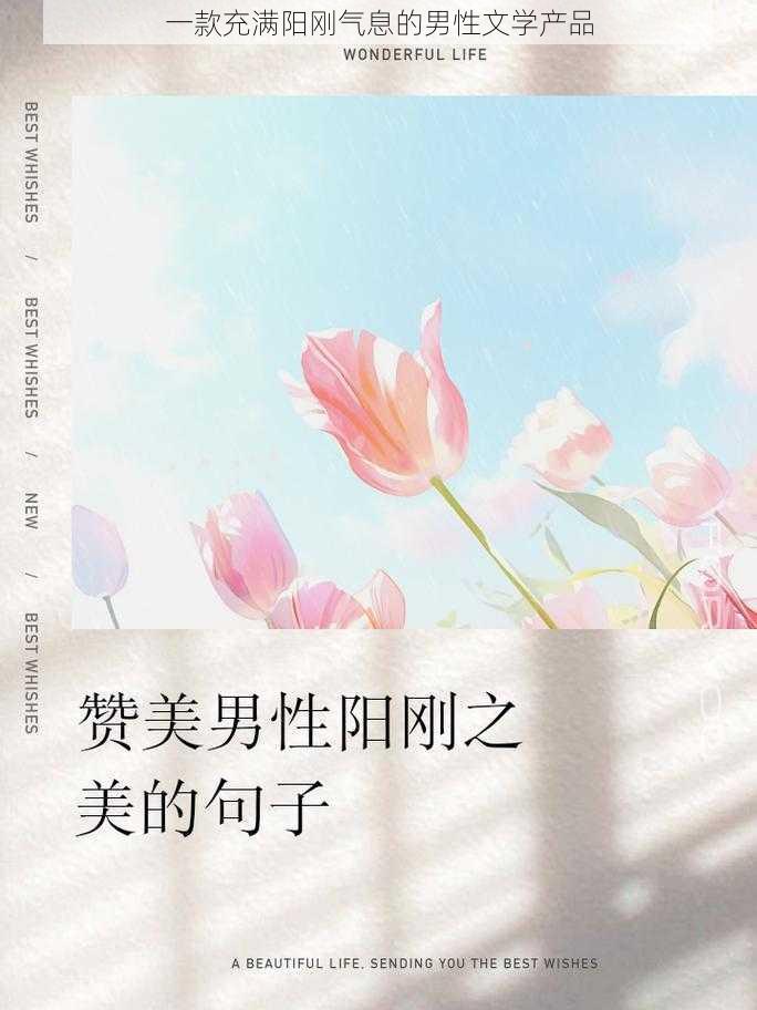 一款充满阳刚气息的男性文学产品