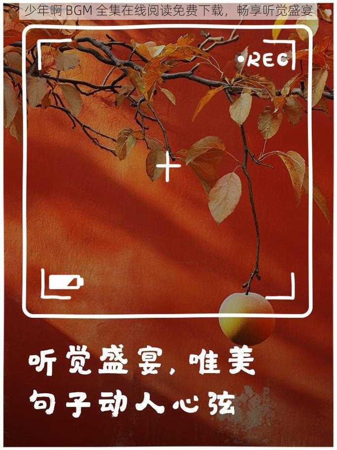 少年啊 BGM 全集在线阅读免费下载,畅享听觉盛宴