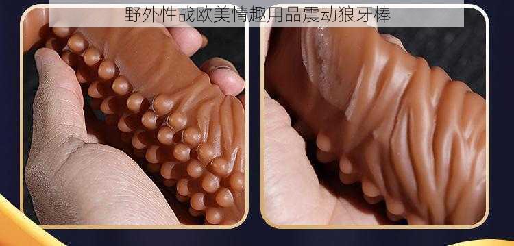 野外性战欧美情趣用品震动狼牙棒