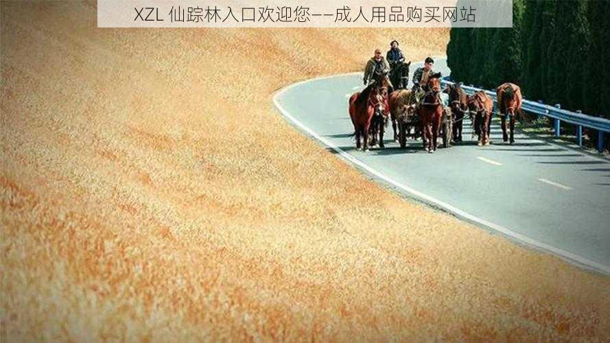 XZL 仙踪林入口欢迎您——成人用品购买网站
