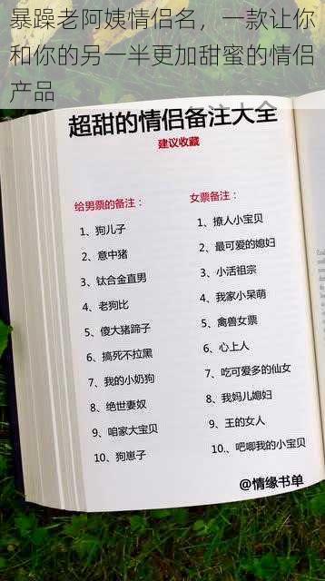 暴躁老阿姨情侣名,一款让你和你的另一半更加甜蜜的情侣产品