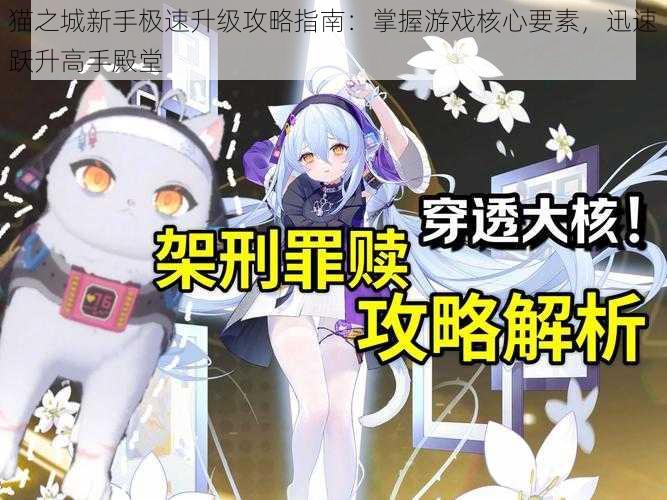 猫之城新手极速升级攻略指南:掌握游戏核心要素,迅速跃升高手殿堂