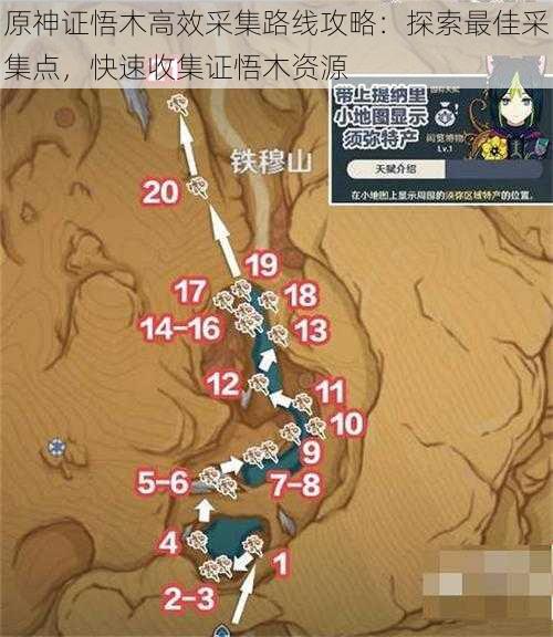 原神证悟木高效采集路线攻略:探索最佳采集点,快速收集证悟木资源