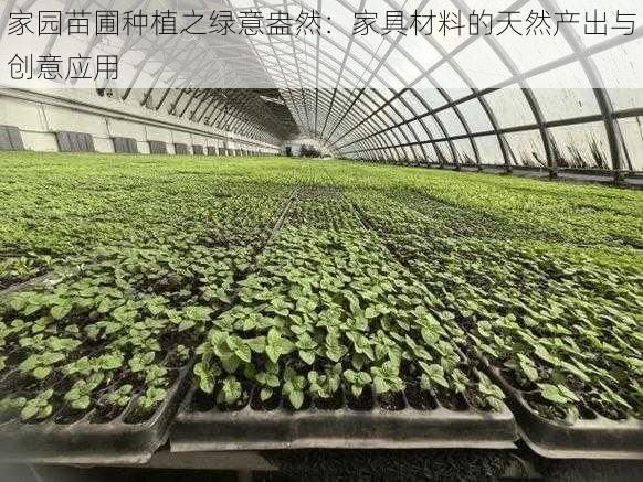 家园苗圃种植之绿意盎然:家具材料的天然产出与创意应用