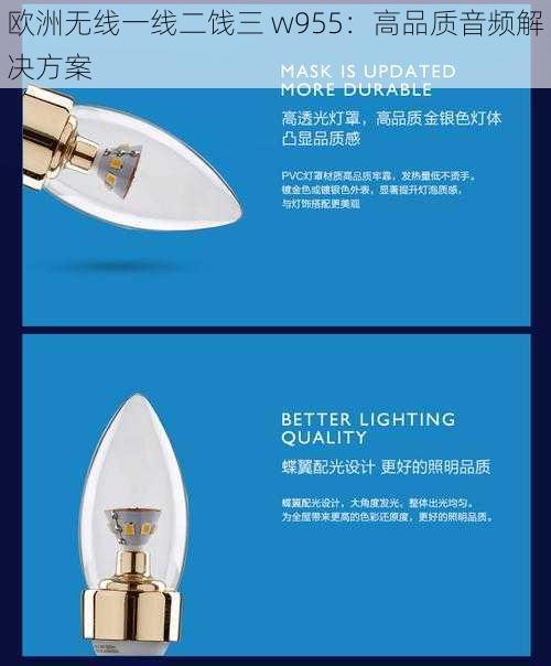 欧洲无线一线二饯三 w955:高品质音频解决方案