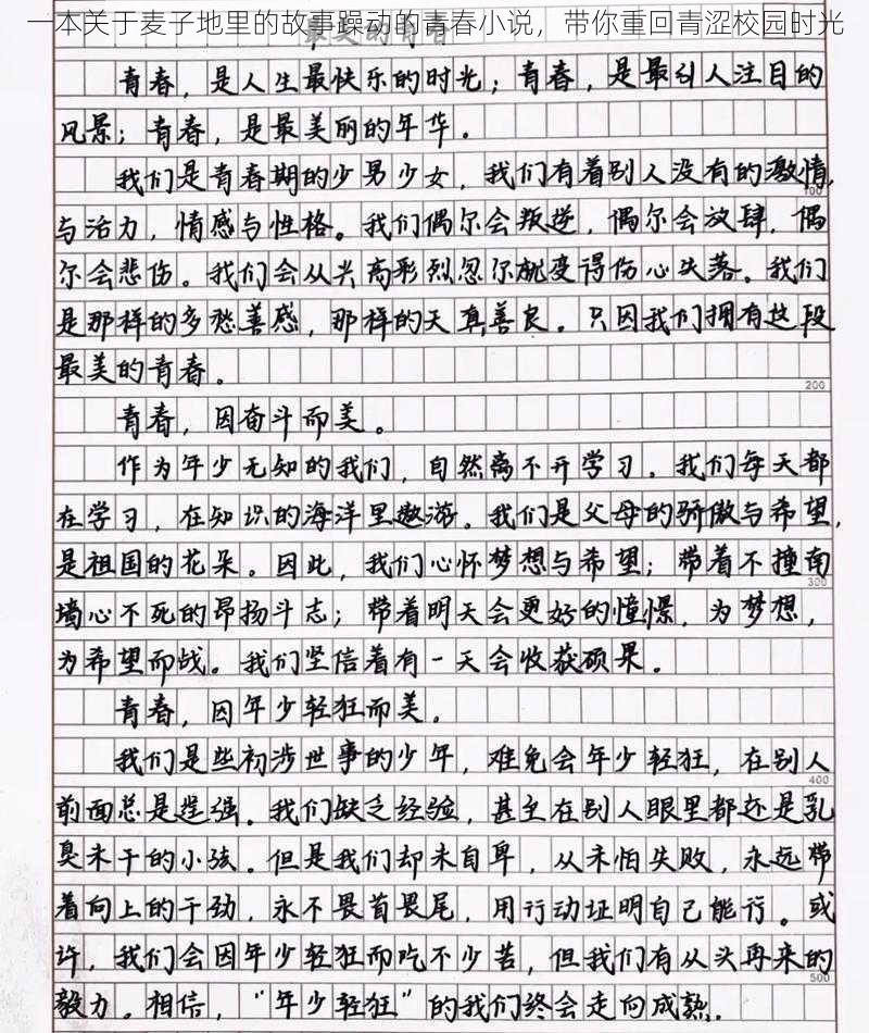 一本关于麦子地里的故事躁动的青春小说,带你重回青涩校园时光