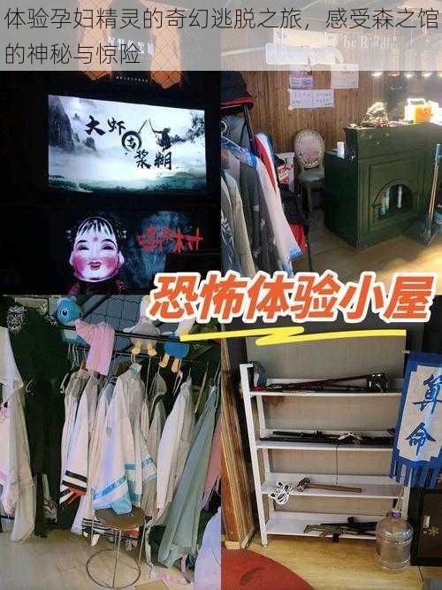 体验孕妇精灵的奇幻逃脱之旅,感受森之馆的神秘与惊险