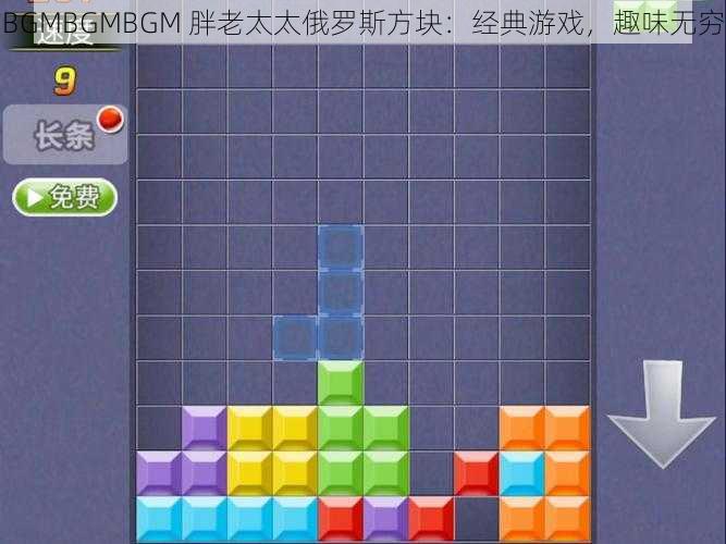 BGMBGMBGM 胖老太太俄罗斯方块:经典游戏,趣味无穷