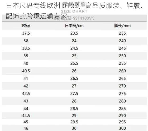 日本尺码专线欧洲 b1b2,高品质服装、鞋履、配饰的跨境运输专家