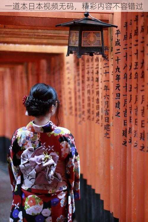 一道本日本视频无码,精彩内容不容错过
