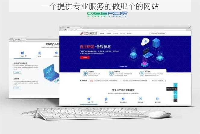 一个提供专业服务的做那个的网站