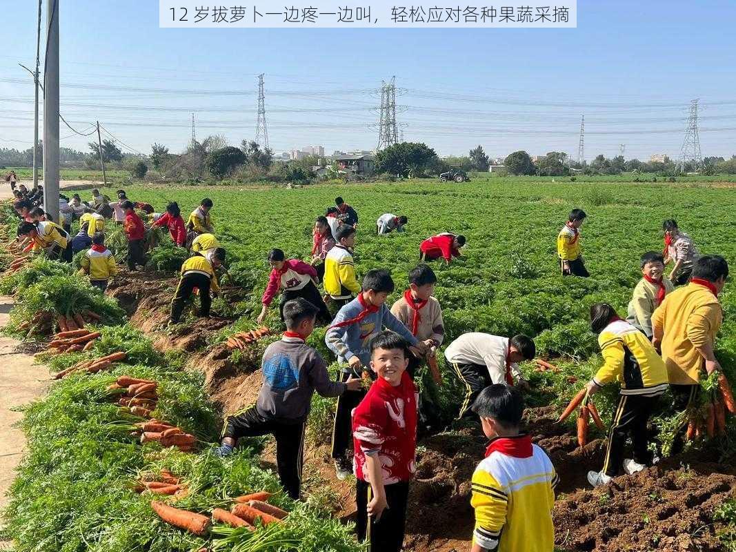 12 岁拔萝卜一边疼一边叫,轻松应对各种果蔬采摘