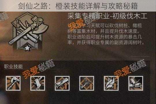 剑仙之路:橙装技能详解与攻略秘籍