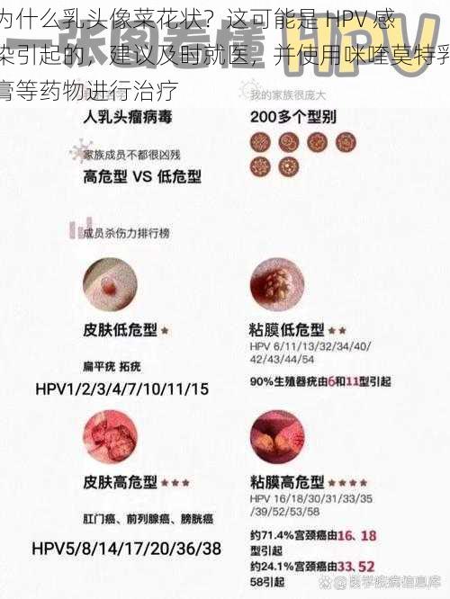 为什么乳头像菜花状?这可能是 HPV 感染引起的,建议及时就医,并使用咪喹莫特乳膏等药物进行治疗