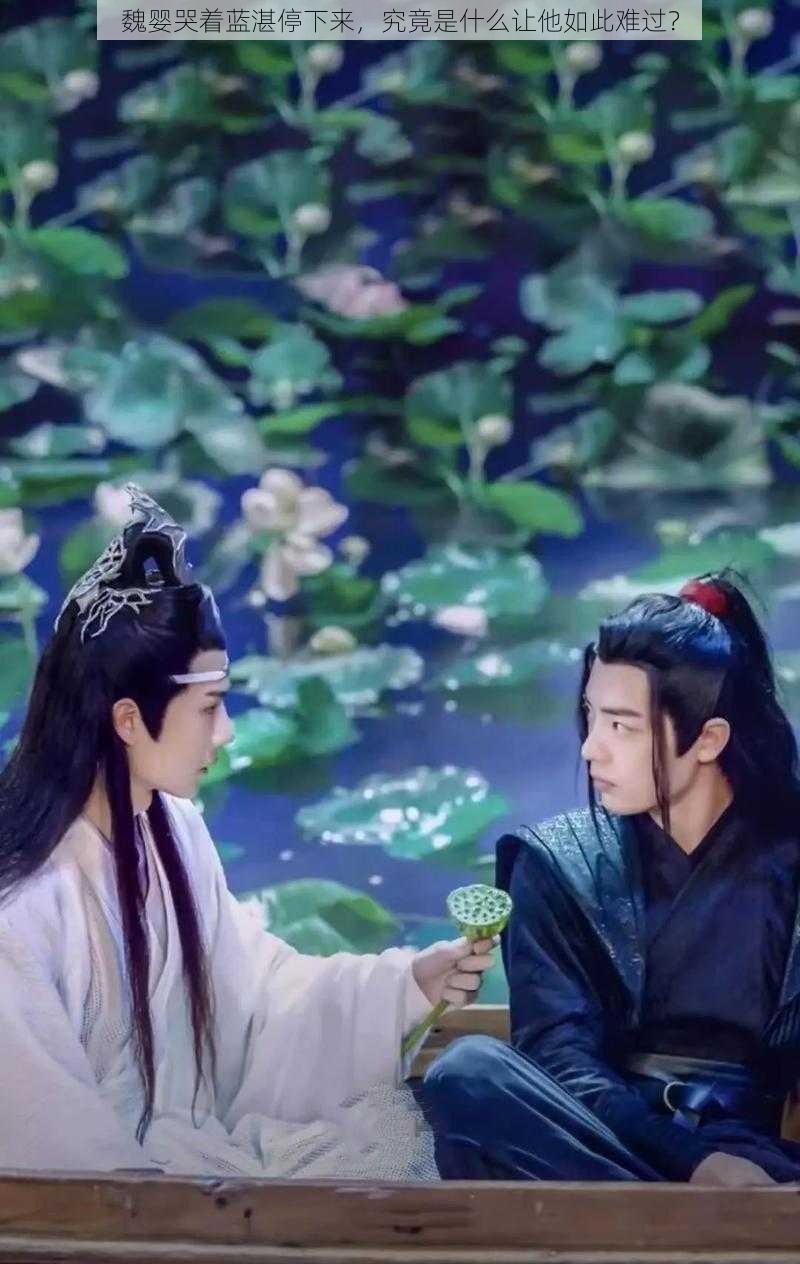 魏婴哭着蓝湛停下来,究竟是什么让他如此难过?