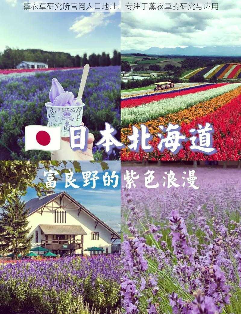 薰衣草研究所官网入口地址:专注于薰衣草的研究与应用