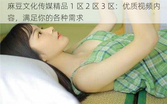 麻豆文化传媒精品 1 区 2 区 3 区:优质视频内容,满足你的各种需求
