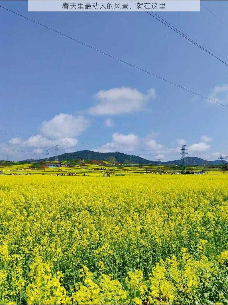 春天里最动人的风景,就在这里