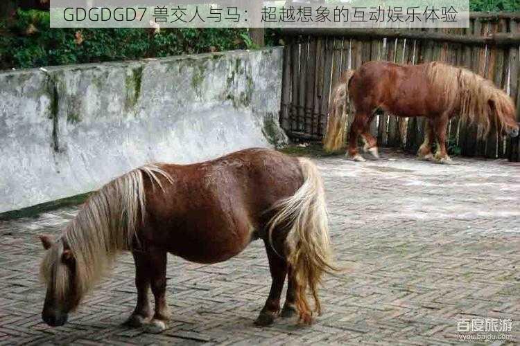 GDGDGD7 兽交人与马:超越想象的互动娱乐体验