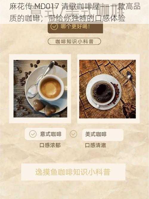麻花传 MD017 清歌咖啡屋——一款高品质的咖啡,带给你独特的口感体验