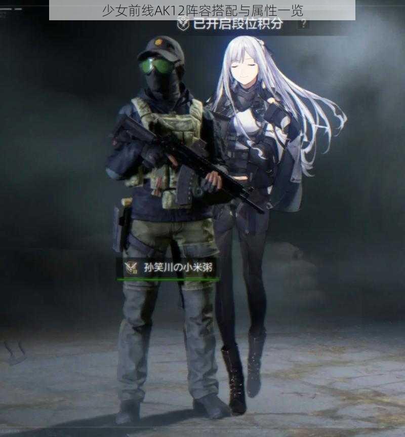 少女前线AK12阵容搭配与属性一览