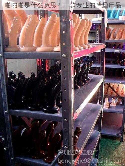 啪啪啪是什么意思?一款专业的情趣用品