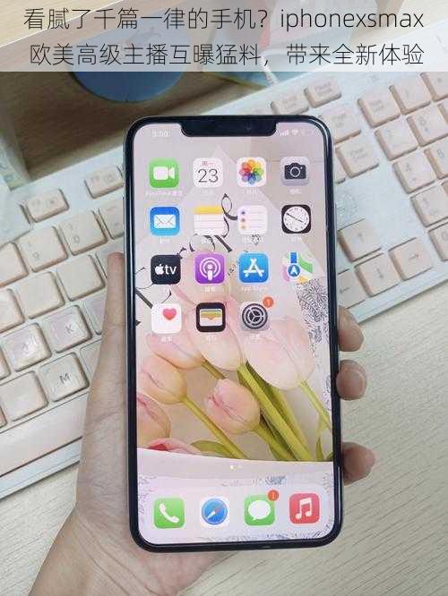看腻了千篇一律的手机?iphonexsmax 欧美高级主播互曝猛料,带来全新体验