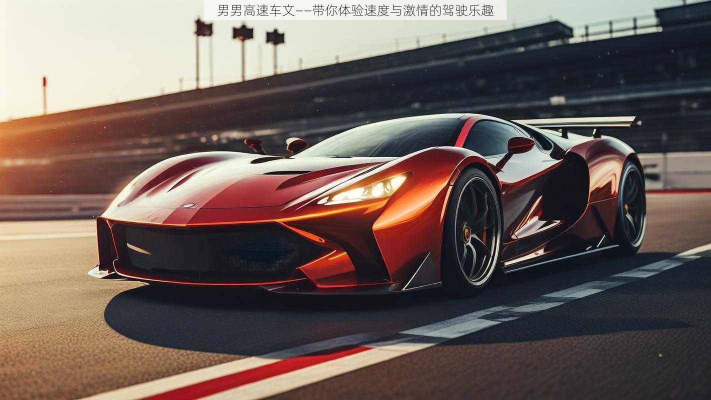 男男高速车文——带你体验速度与激情的驾驶乐趣