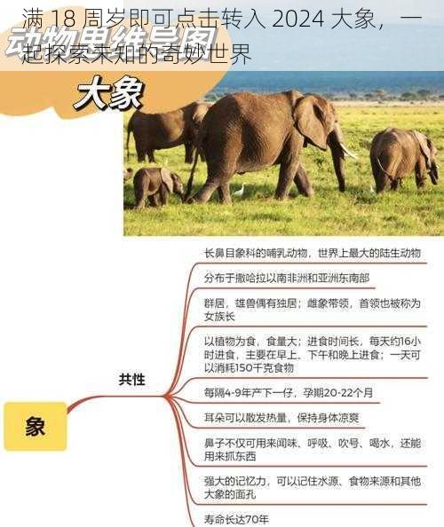 满 18 周岁即可点击转入 2024 大象,一起探索未知的奇妙世界