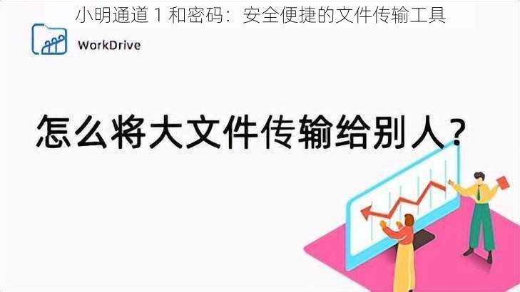 小明通道 1 和密码:安全便捷的文件传输工具