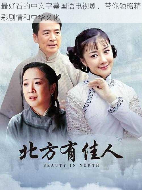 最好看的中文字幕国语电视剧,带你领略精彩剧情和中华文化