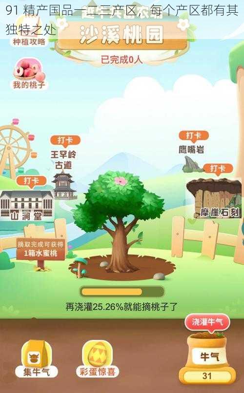 91 精产国品一二三产区,每个产区都有其独特之处