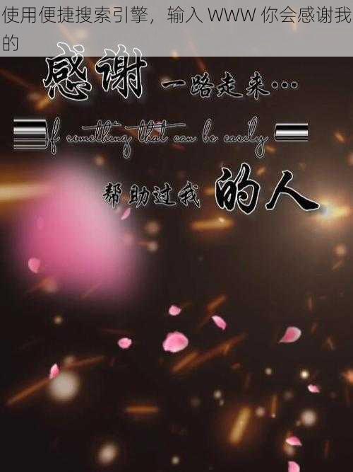 使用便捷搜索引擎,输入 WWW 你会感谢我的