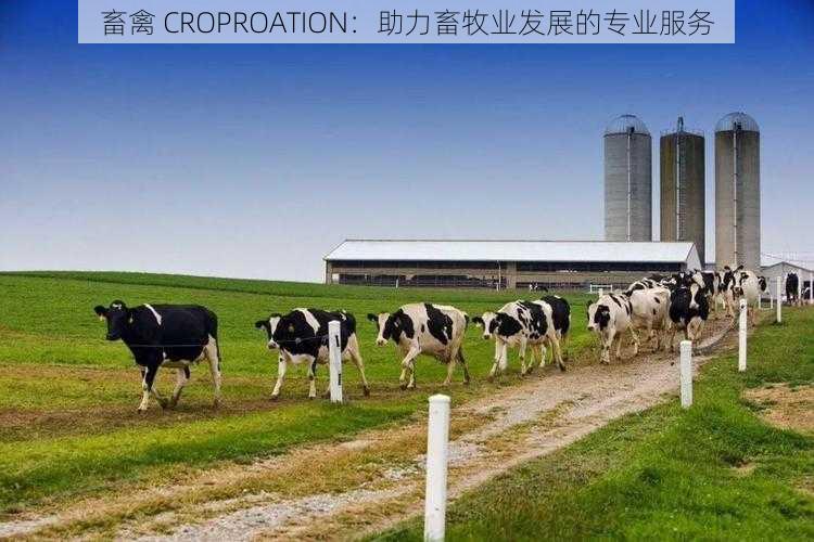 畜禽 CROPROATION:助力畜牧业发展的专业服务